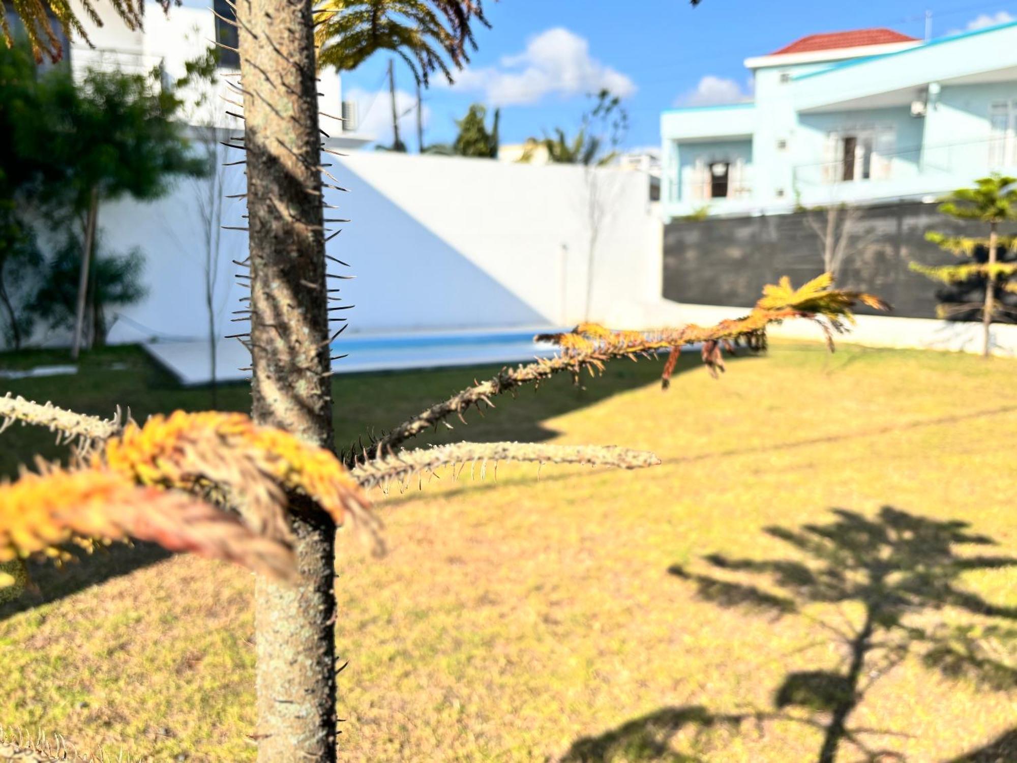 Maison Mont Choisy - One Or Two Bedrooms Apartment Trou aux Biches Luaran gambar